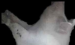 Crop