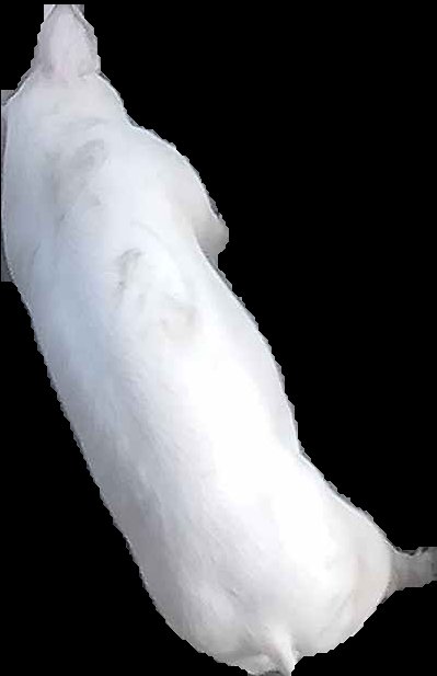Crop