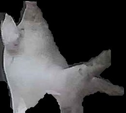 Crop