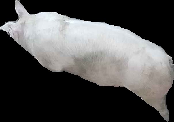 Crop