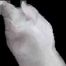 Crop