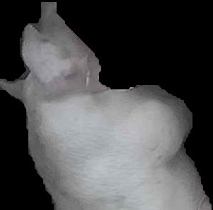 Crop