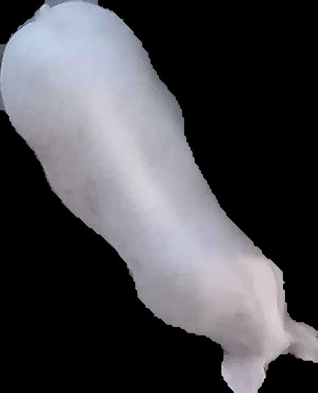 Crop