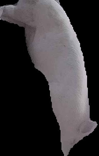 Crop