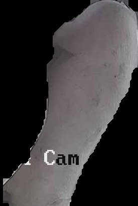 Crop