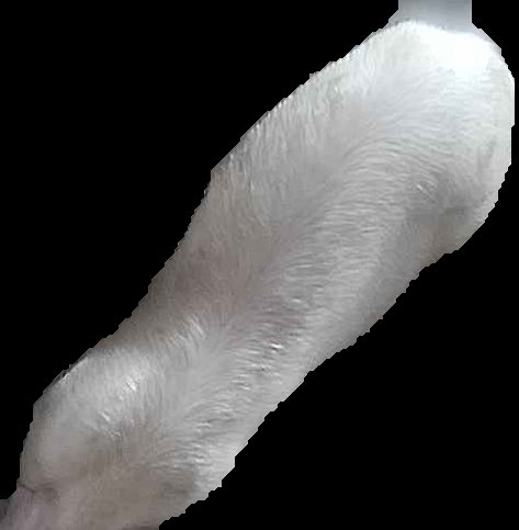 Crop