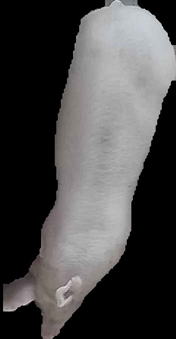 Crop