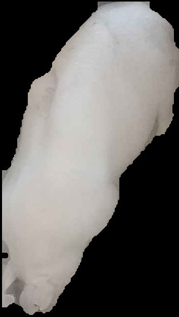 Crop