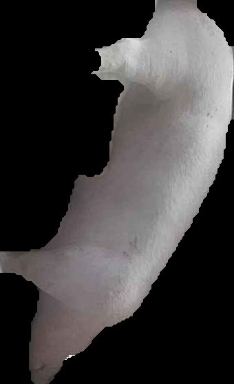Crop