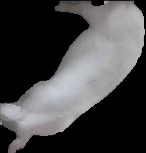 Crop