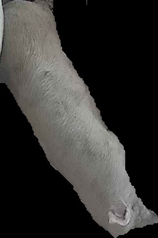 Crop