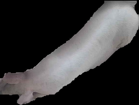 Crop