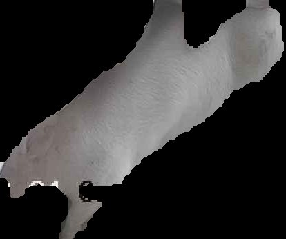 Crop