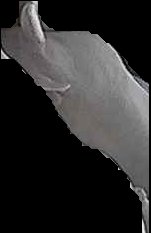 Crop