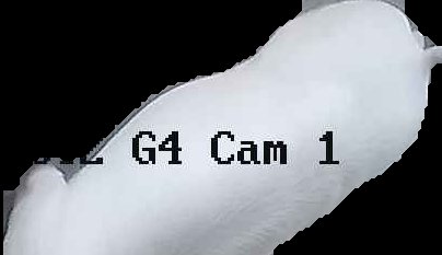 Crop