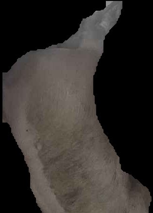 Crop