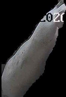 Crop