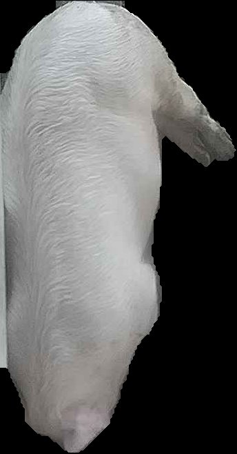 Crop