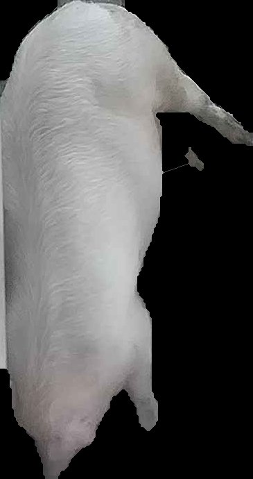 Crop