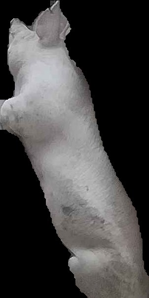 Crop