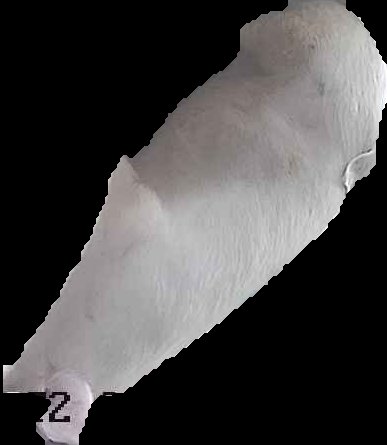 Crop