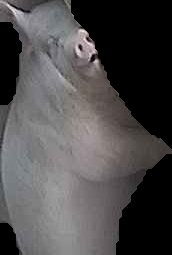 Crop