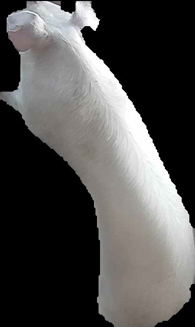 Crop