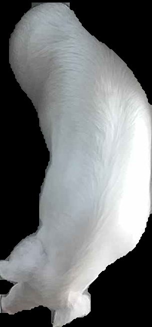 Crop