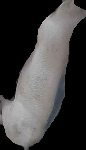 Crop