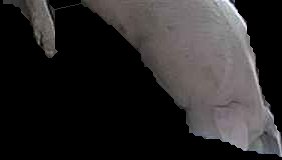 Crop