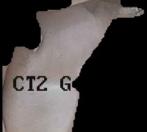 Crop