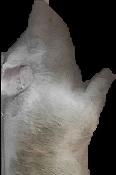 Crop