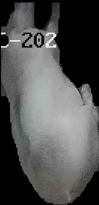 Crop