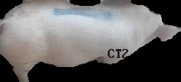 Crop