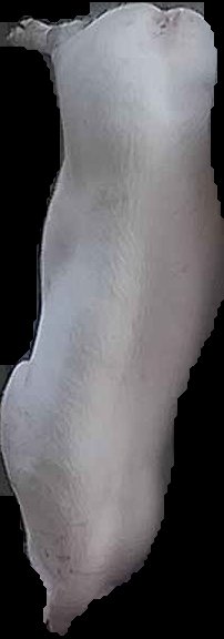 Crop
