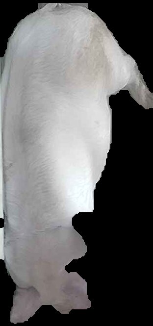 Crop