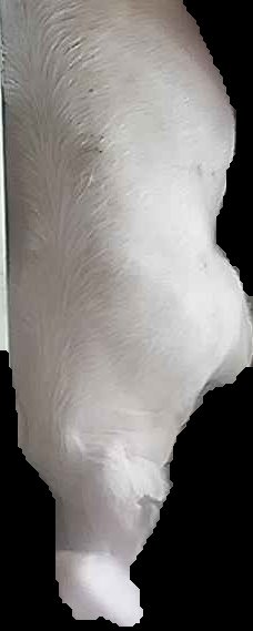 Crop