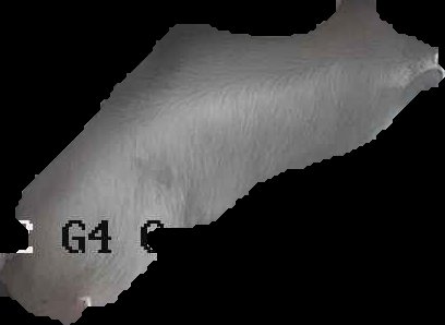 Crop