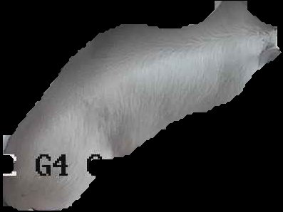 Crop