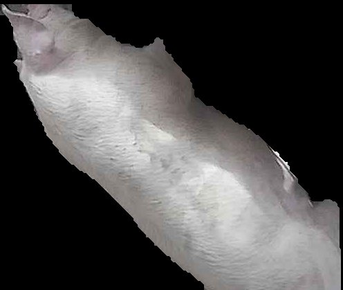 Crop