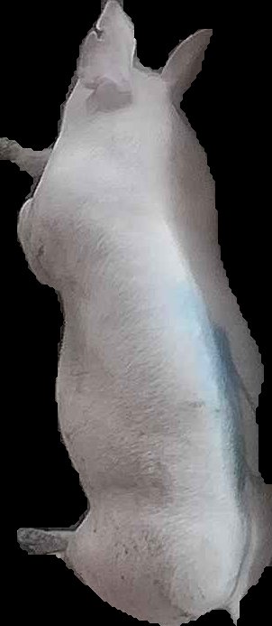 Crop