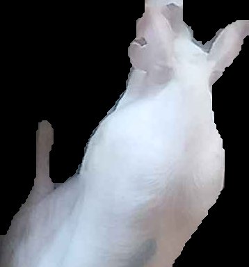 Crop
