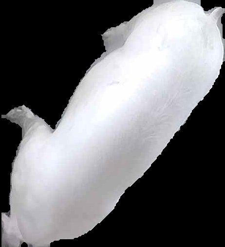 Crop