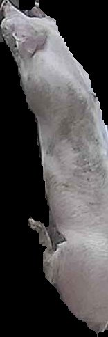 Crop