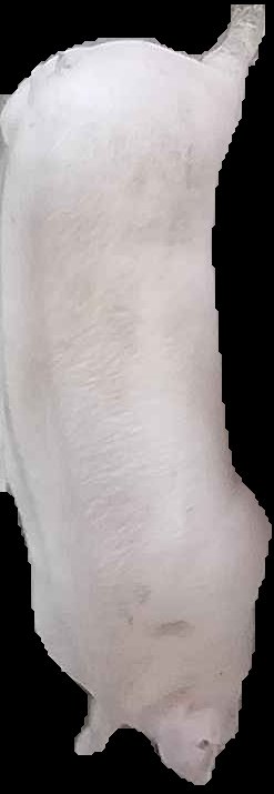 Crop