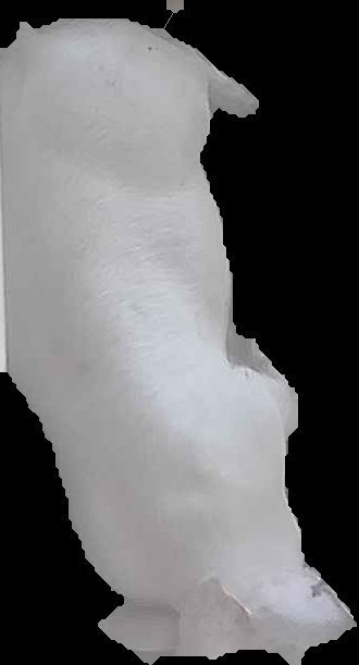 Crop