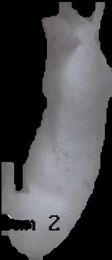 Crop