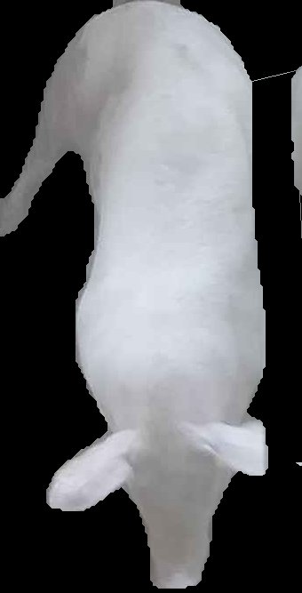 Crop