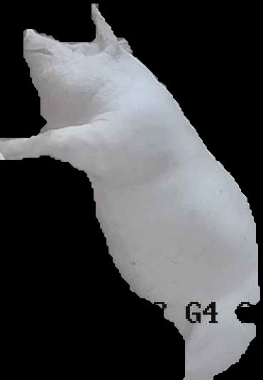 Crop
