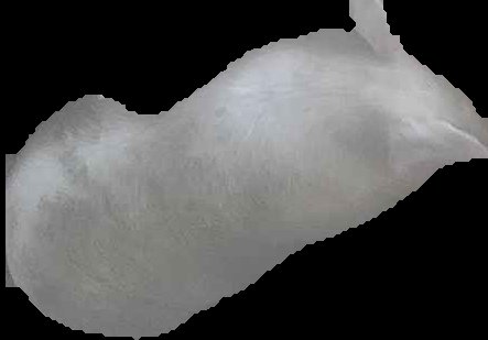 Crop